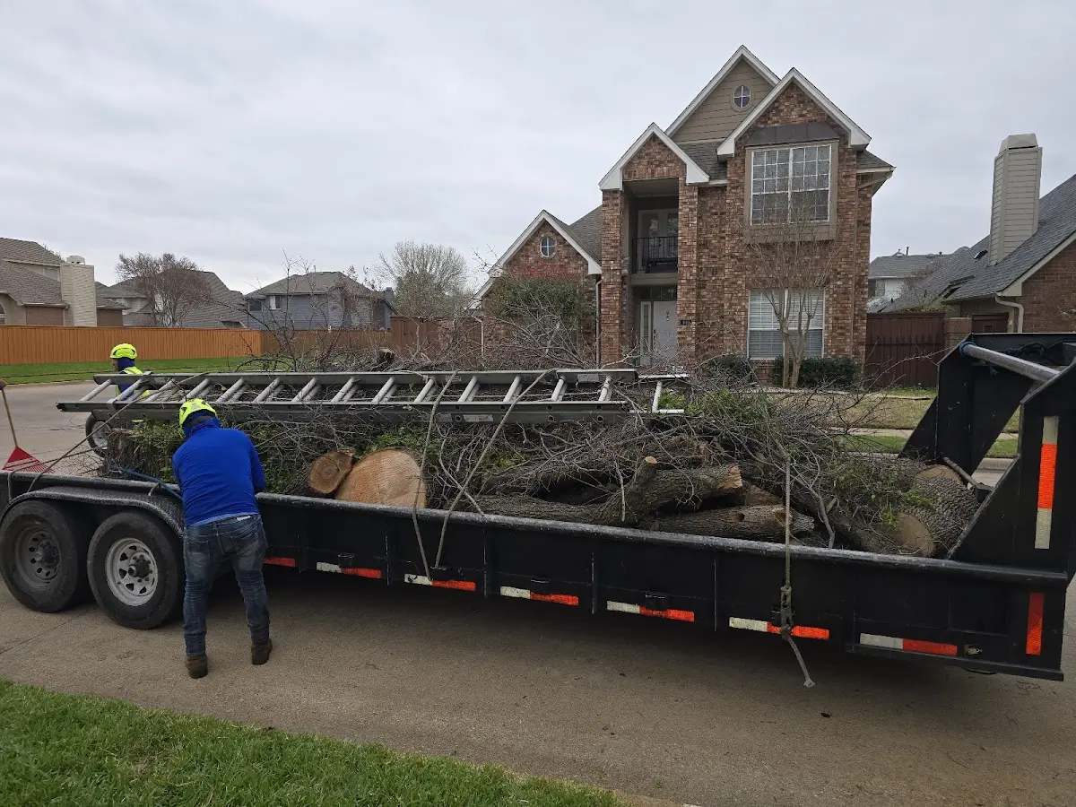 Expert Lot Clearing with proper safety equipment in Hull